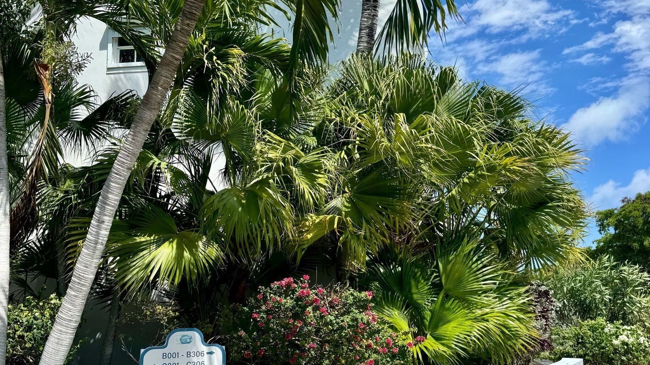 Photo of Outdoor in Middle Caicos