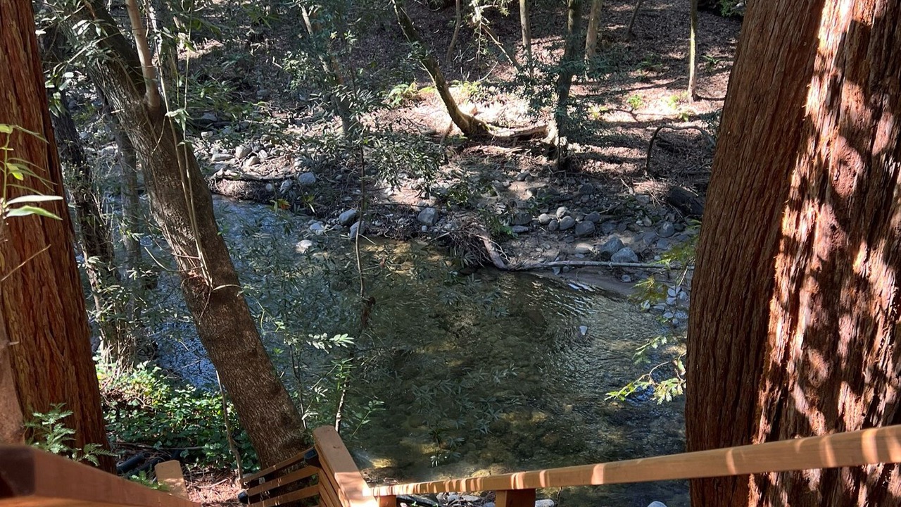 Photo of Outdoor in Boulder Creek