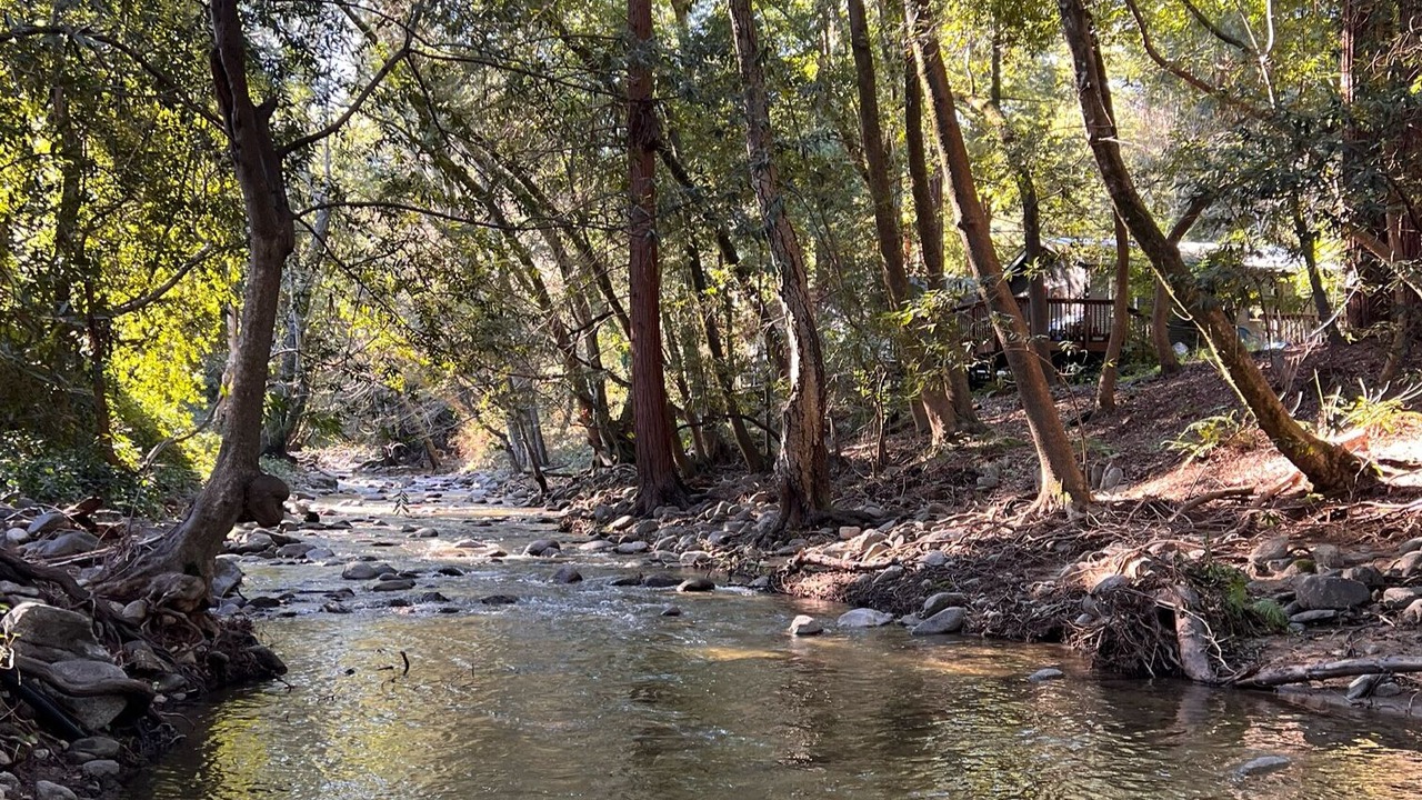Photo of Others in Boulder Creek