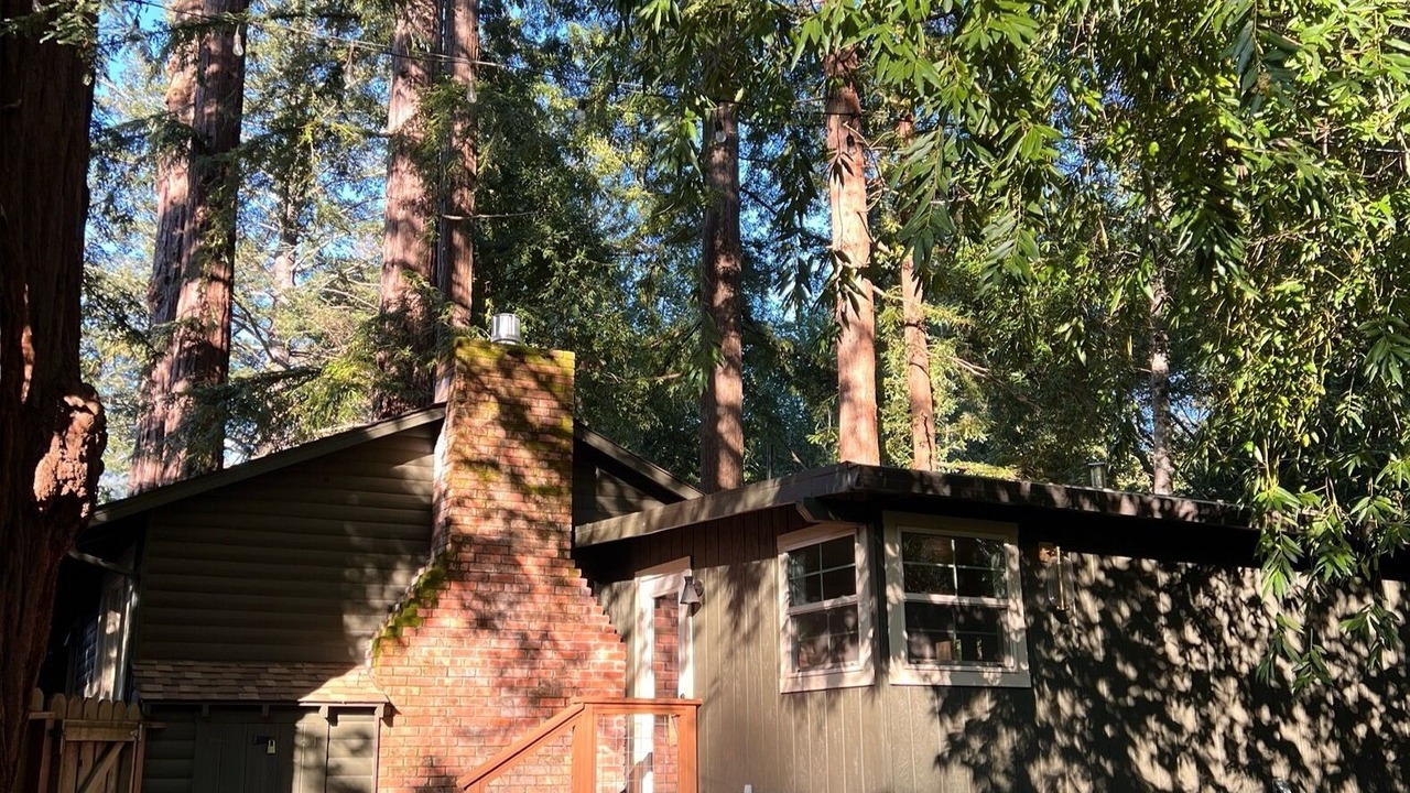 Photo of Outdoor in Boulder Creek