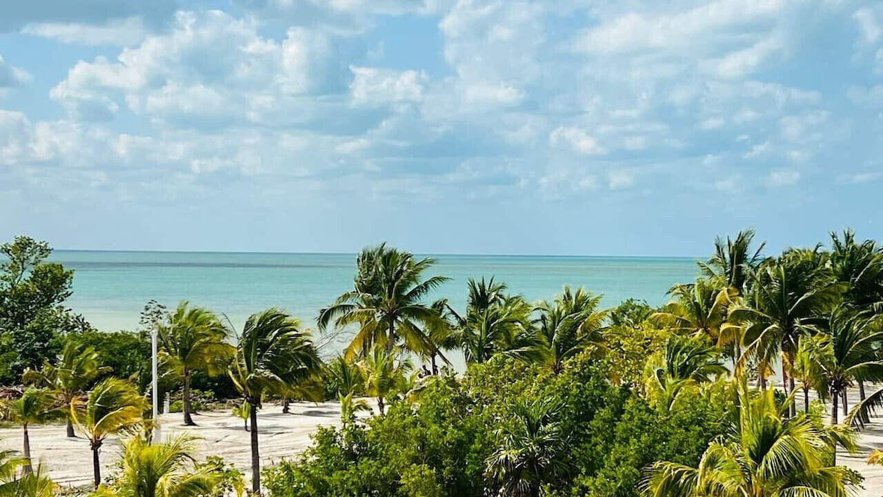 Photo of Others in Isla Holbox