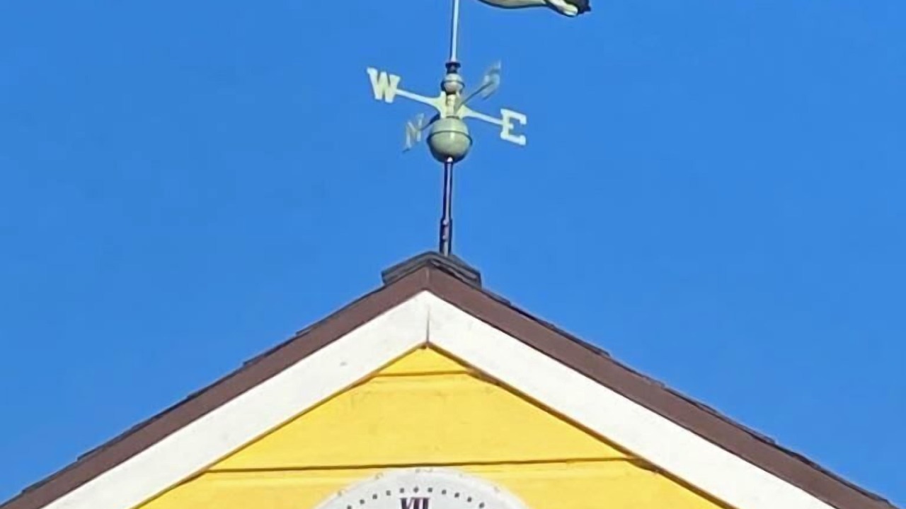 Photo of Outdoor in Westside Santa Cruz