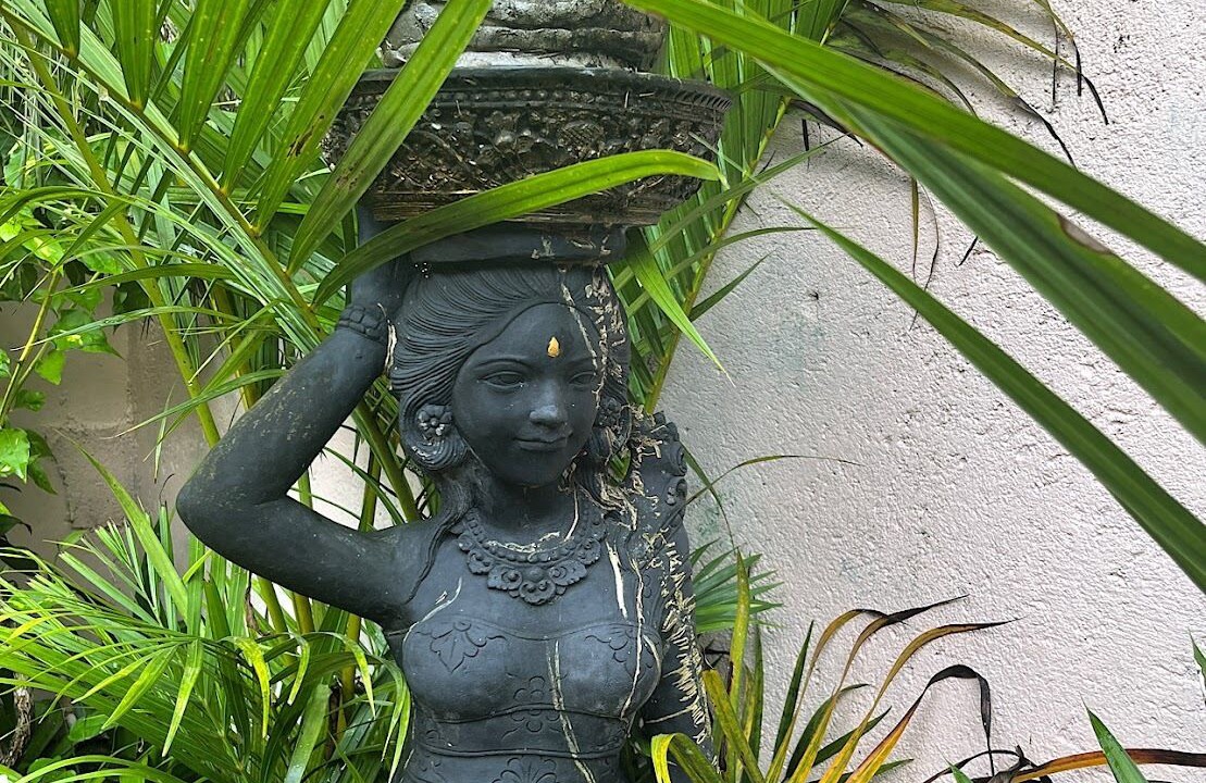 Photo of Outdoor in Penestanan