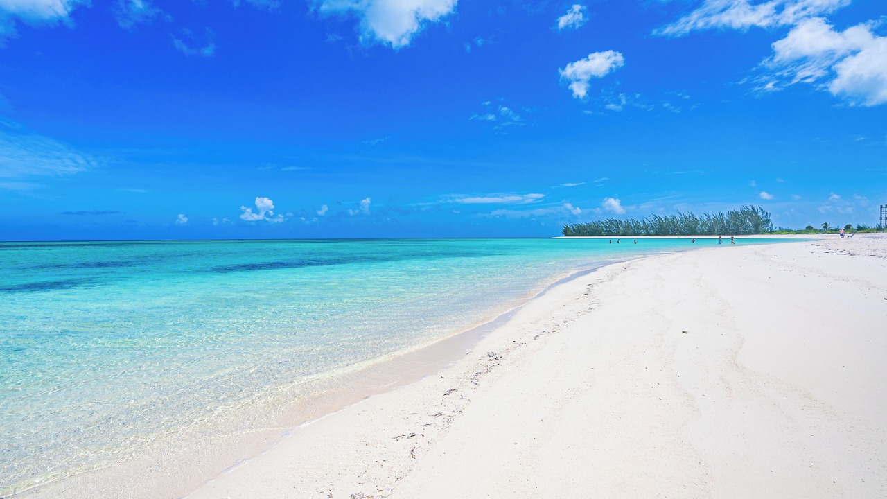 Photo of Others in Sandy Point