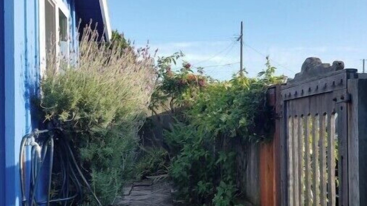 Photo of Outdoor in Opal Cliffs