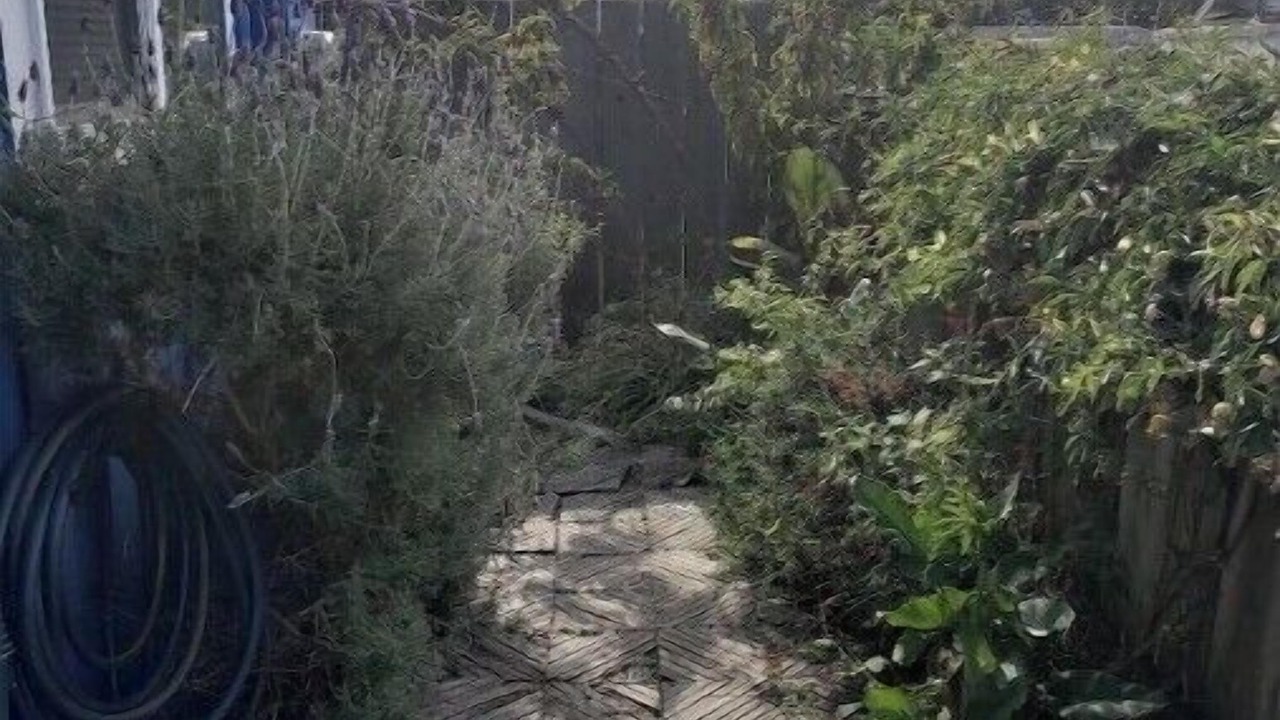 Photo of Outdoor in Opal Cliffs