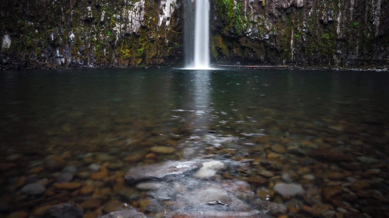 Photo of Others in Opal Cliffs