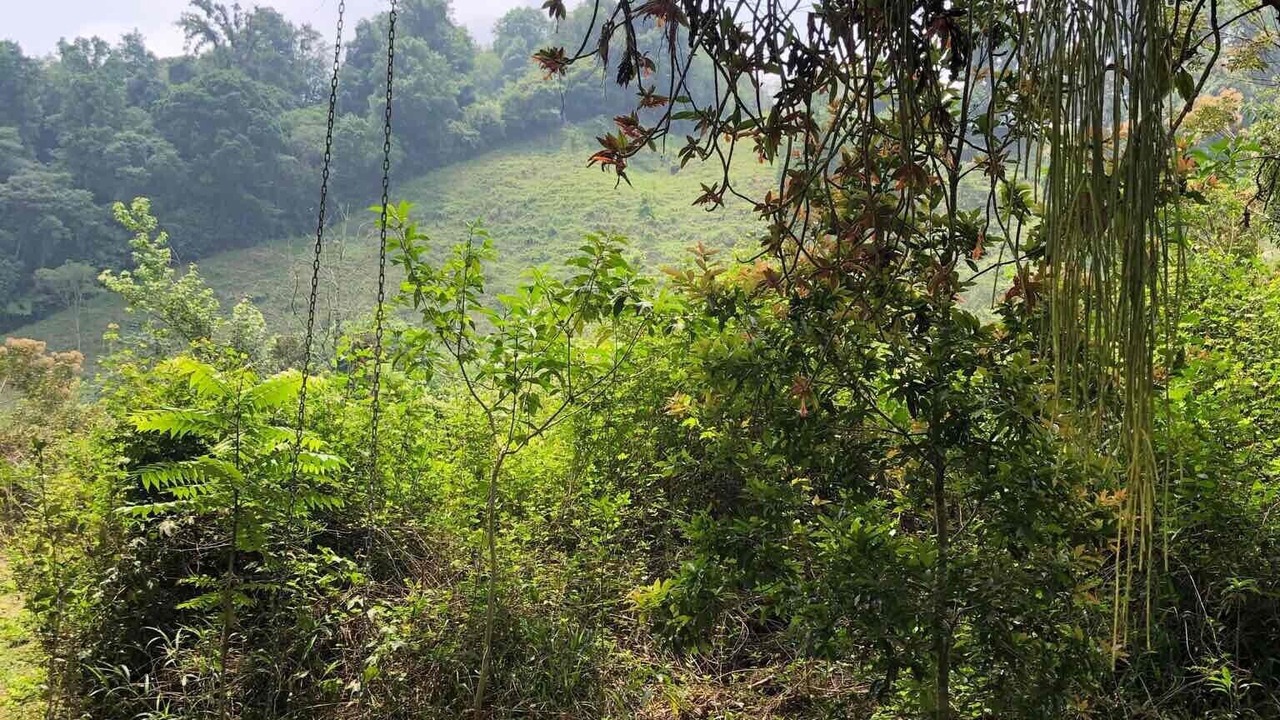 Photo of Outdoor in La Gloria