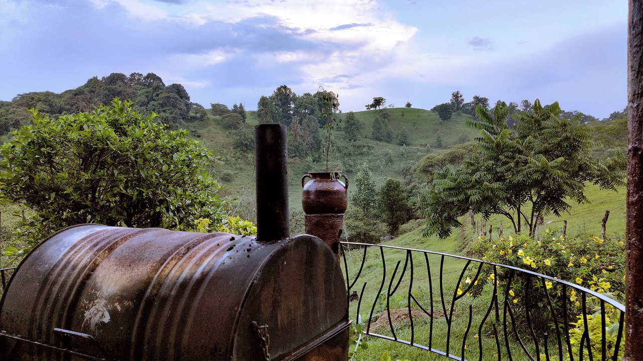 Photo of Outdoor in La Gloria