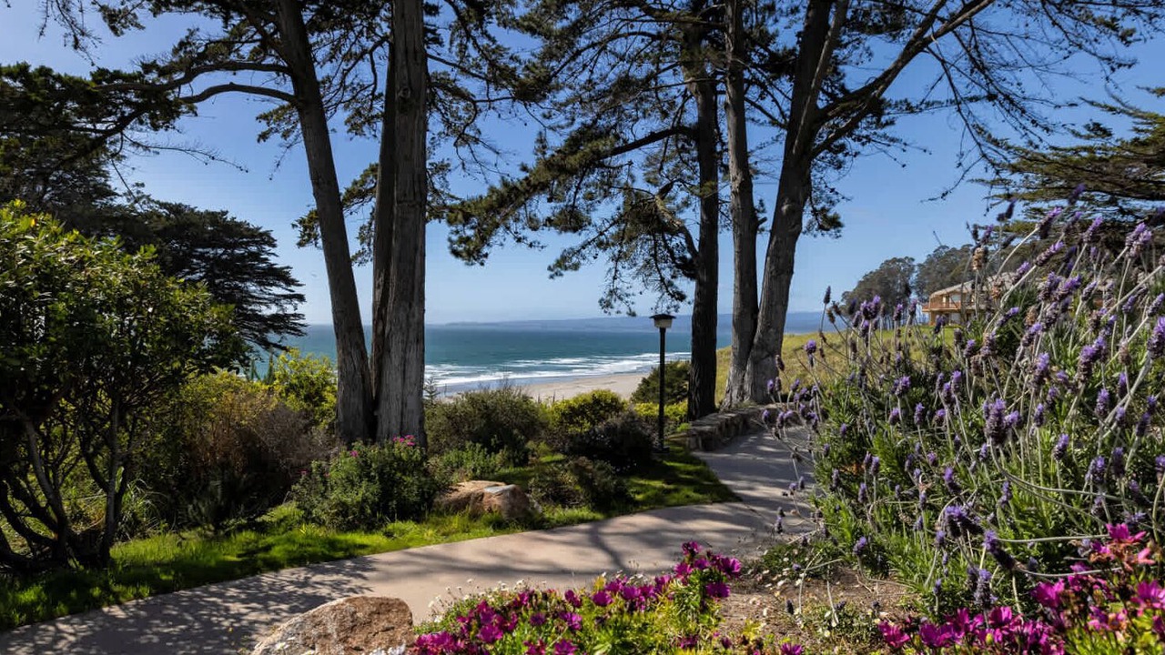Photo of Others in Rio del Mar