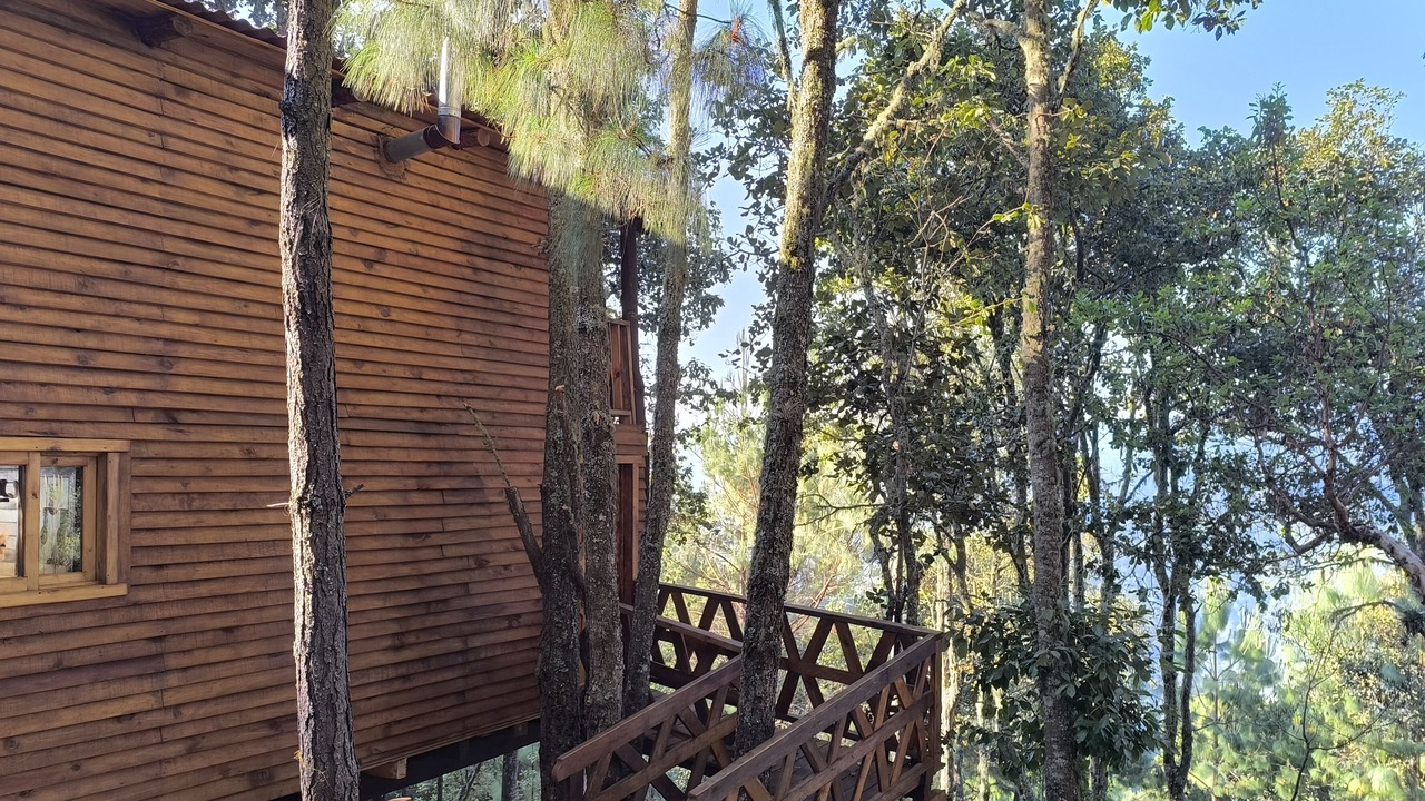 Photo of Outdoor in San Jose del Pacifico