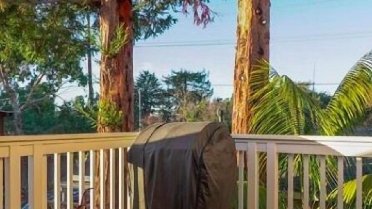 Photo of Outdoor in Seabright