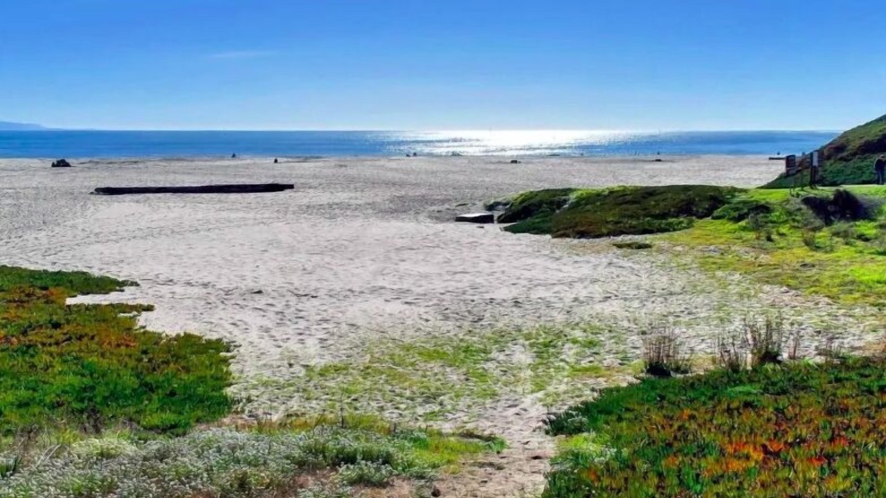 Photo of Others in Seabright