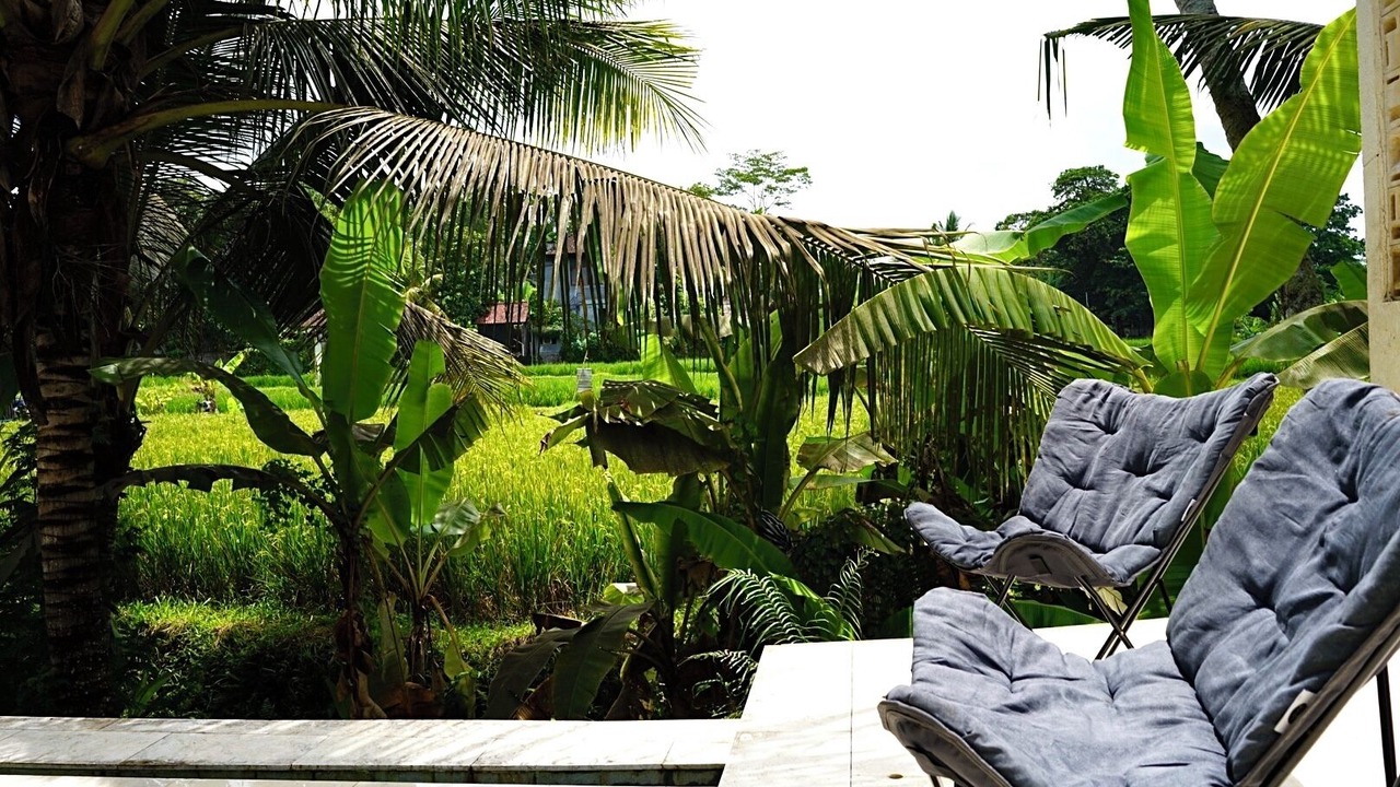 Photo of Outdoor in Pejeng