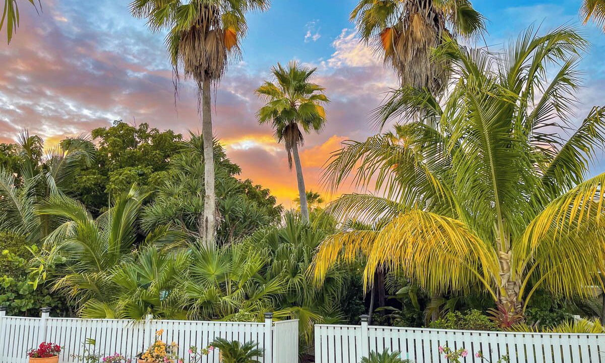 Photo of Outdoor in Leeward Settlement