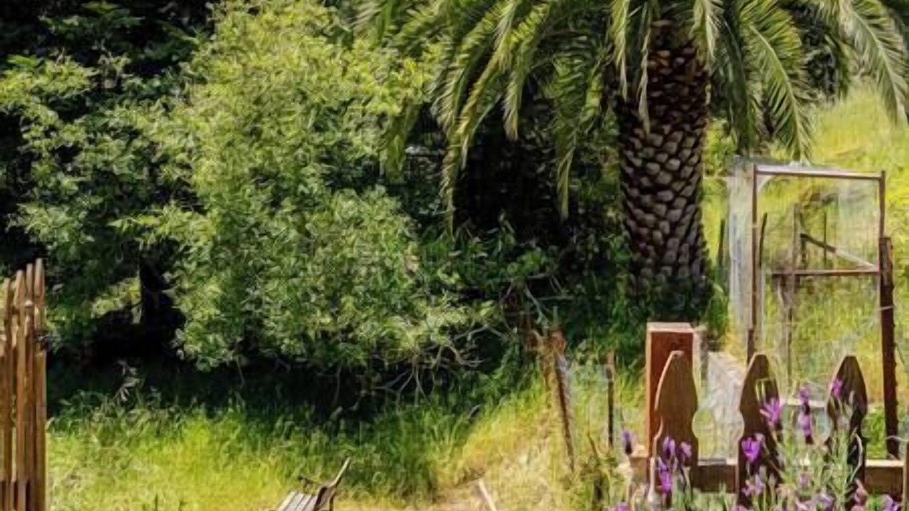 Photo of Others in Aptos