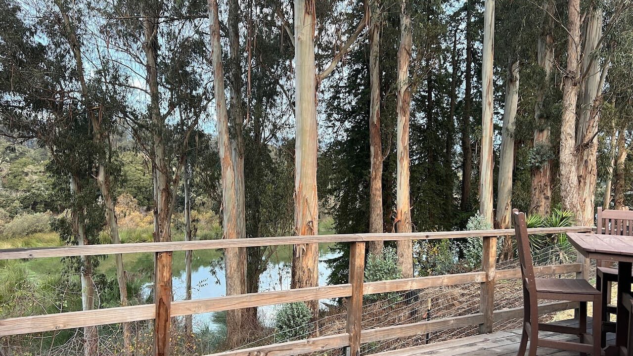 Photo of Outdoor in Amesti