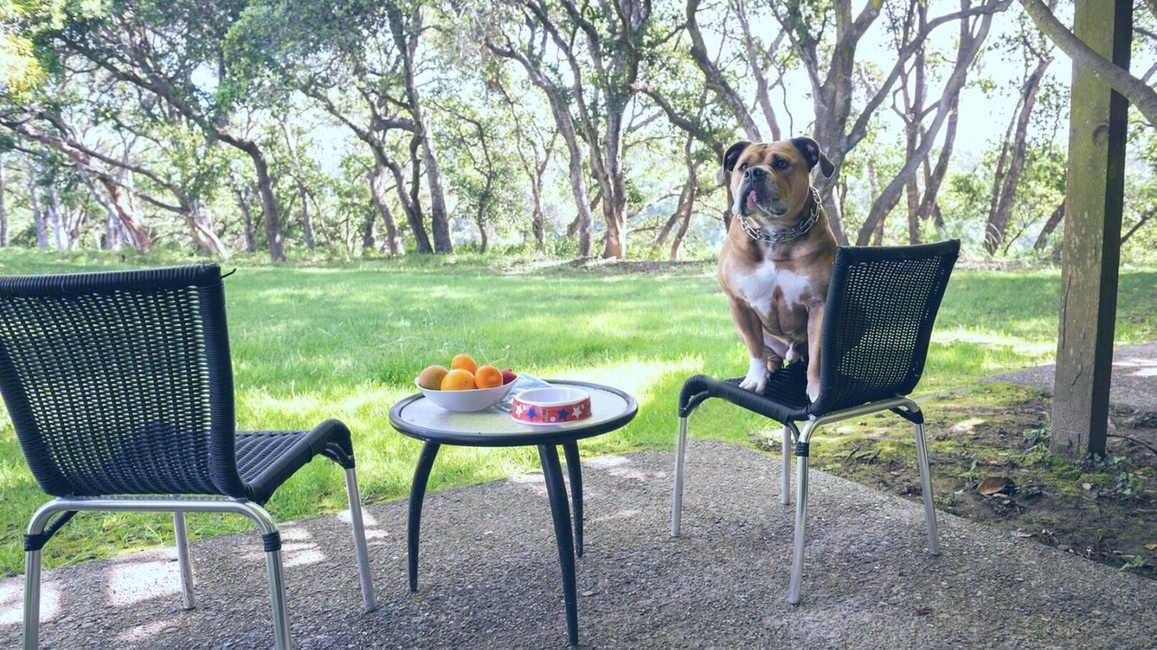 Photo of Outdoor in Santa Cruz