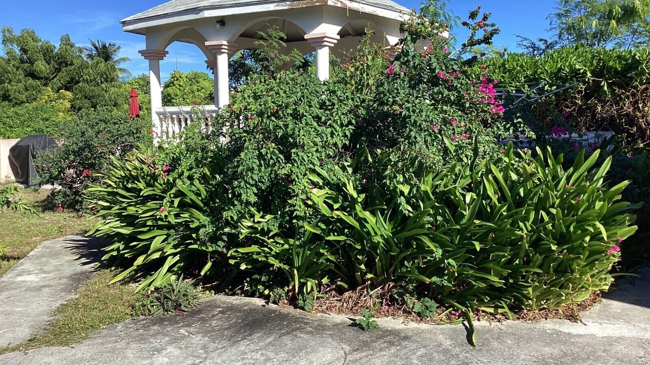 Photo of Outdoor in Cockburn Town