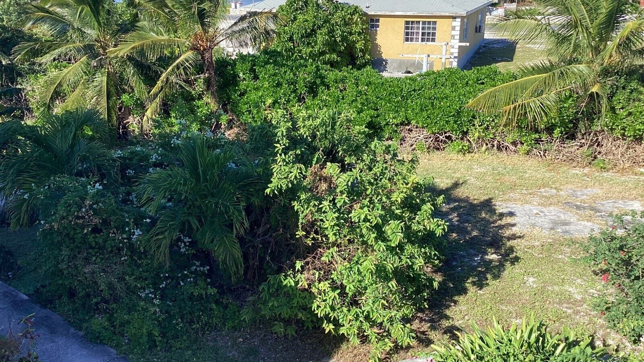 Photo of Outdoor in Cockburn Town