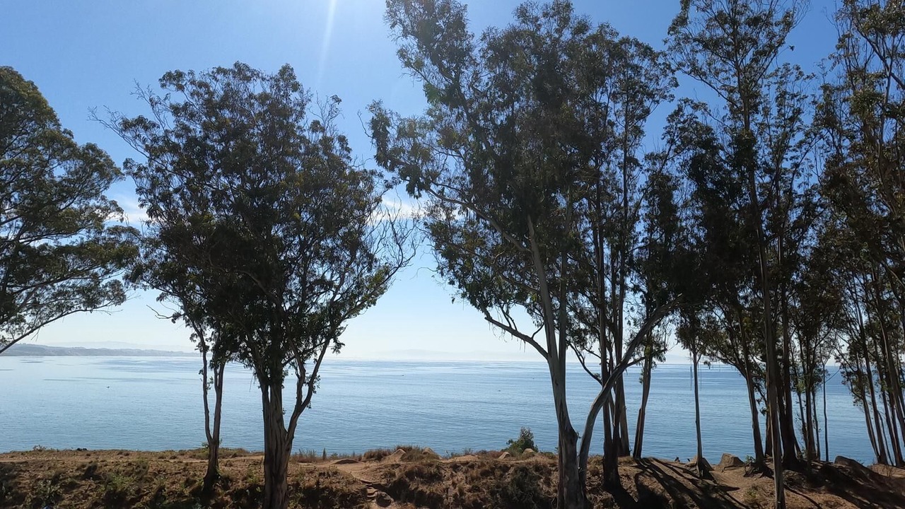 Photo of Others in Aptos