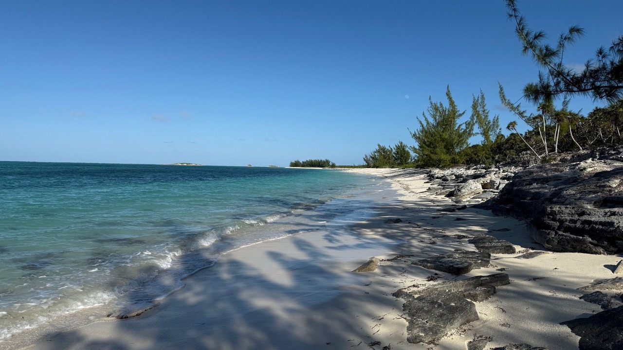 Photo of Others in Sandy Point