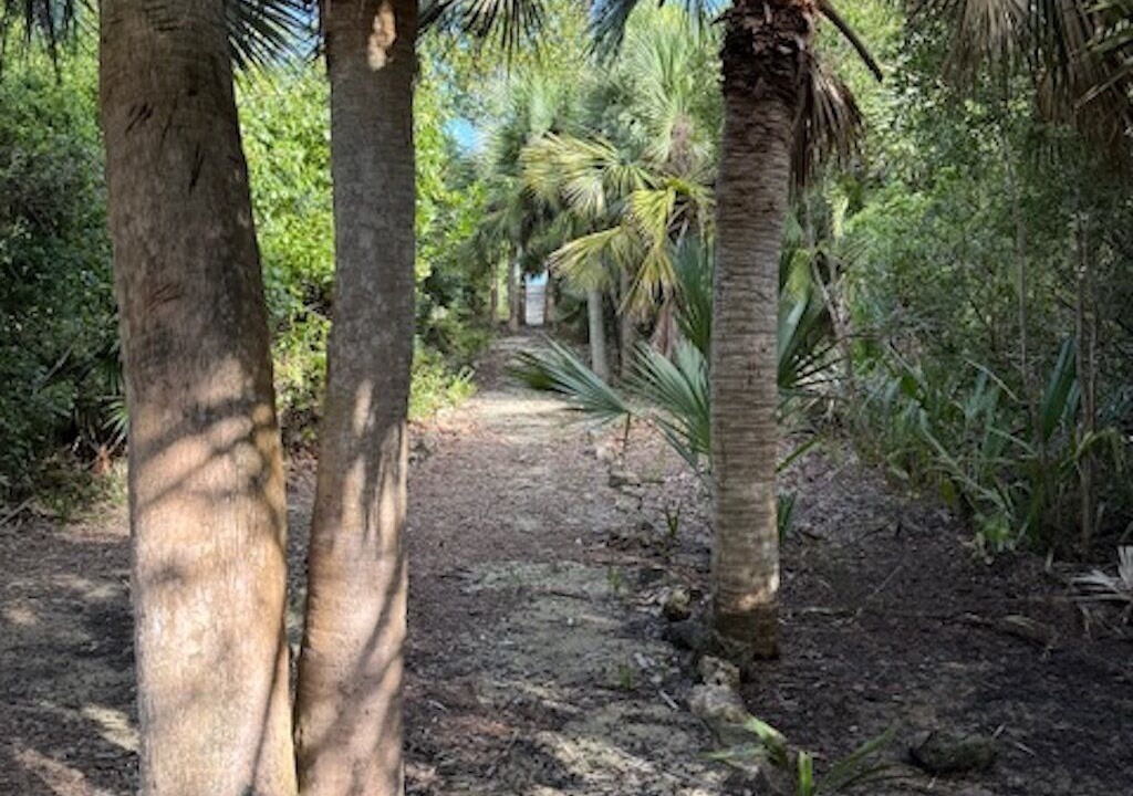 Photo of Outdoor in Sandy Point