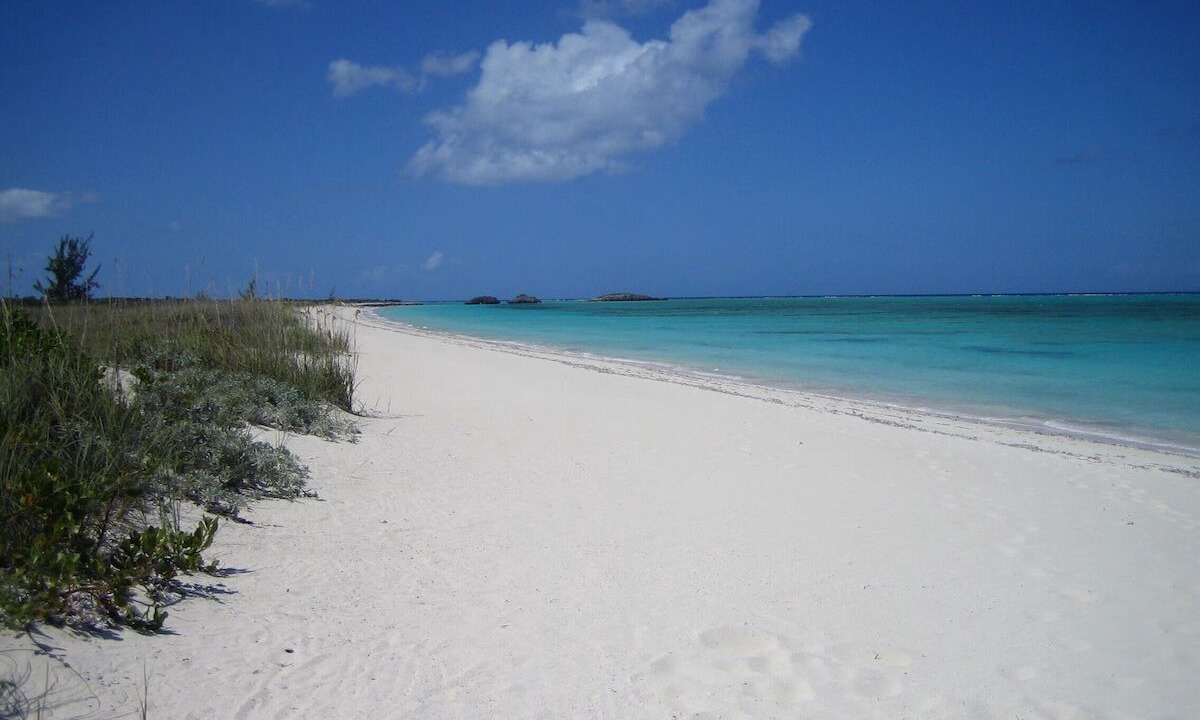 Photo of Others in Sandy Point