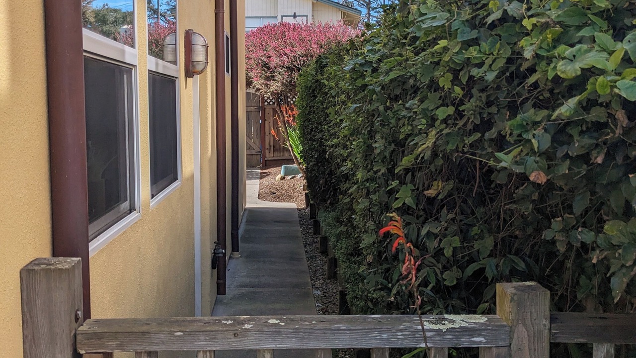 Photo of Outdoor in Aptos