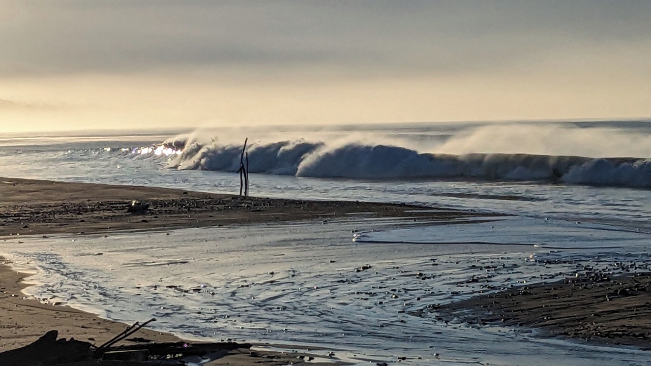 Photo of Others in Aptos