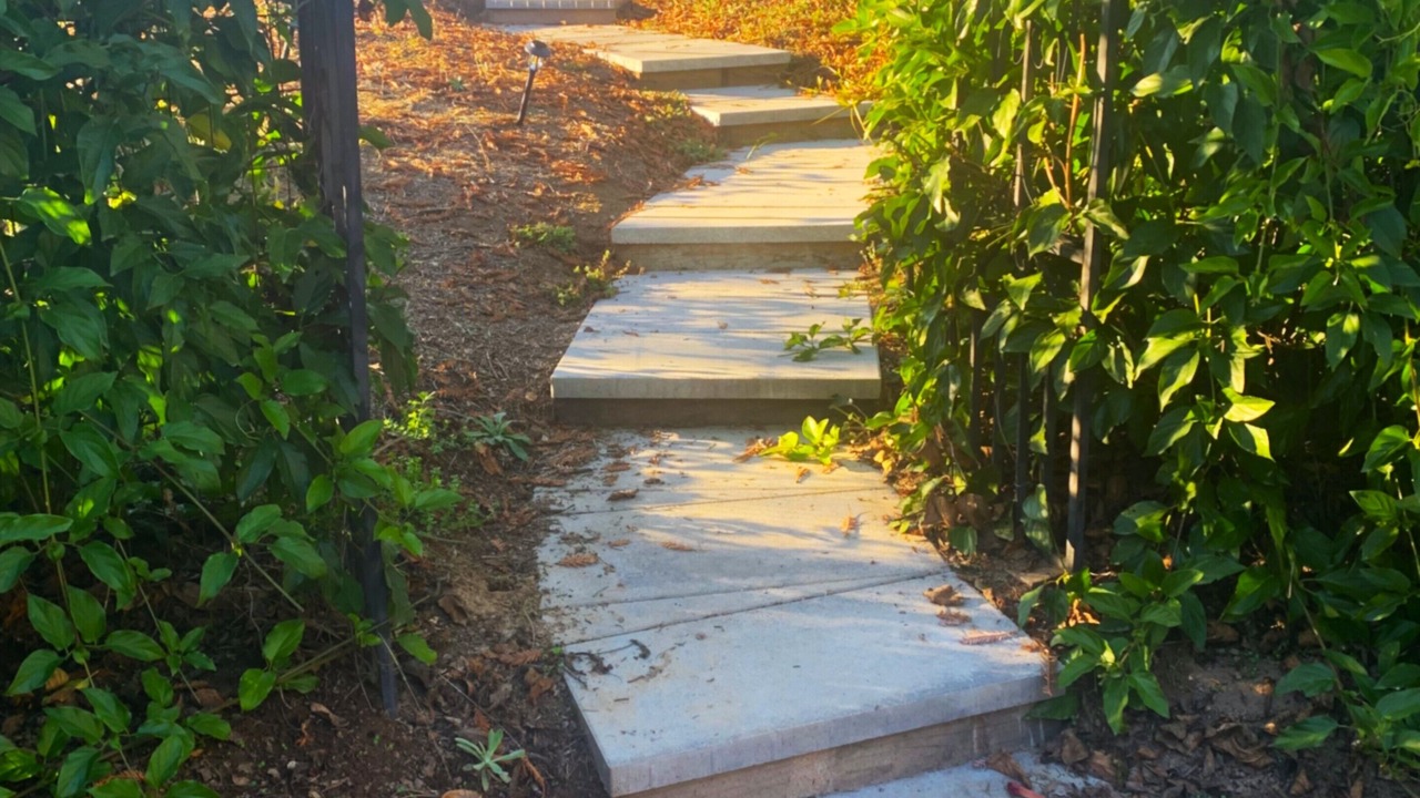 Photo of Outdoor in Aptos Hills-Larkin Valley