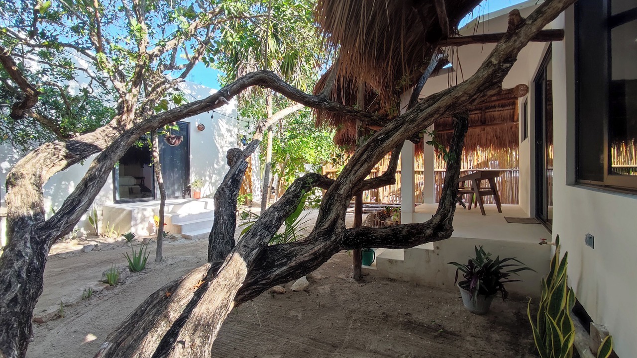 Photo of Outdoor in Isla Holbox