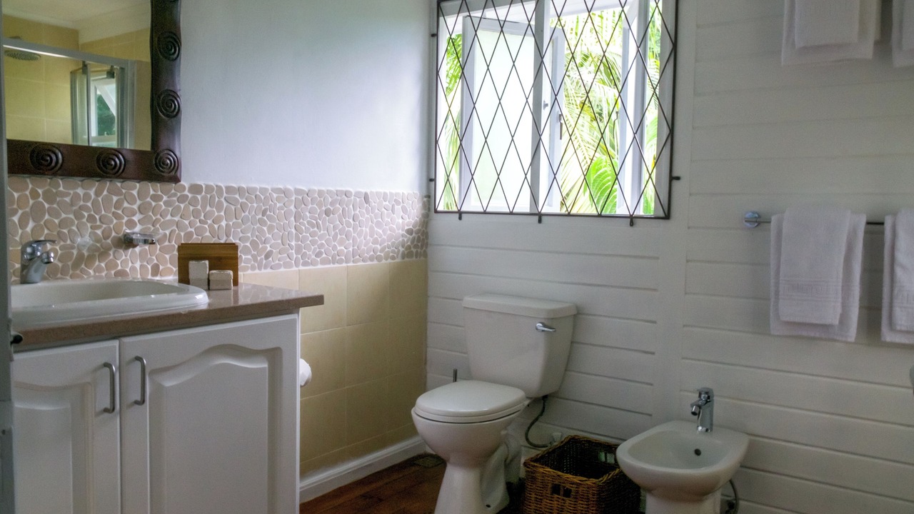 Photo of Bathroom in Anse la Blague