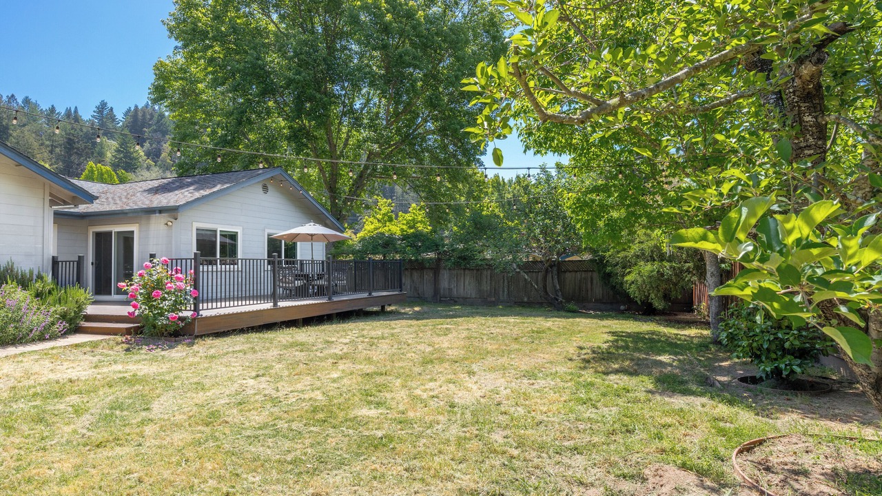 Photo of Outdoor in Ben Lomond