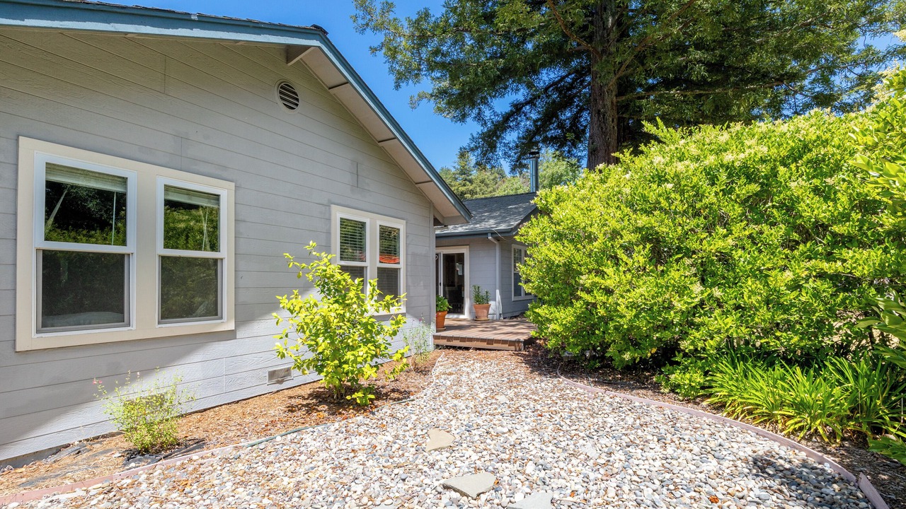 Photo of Outdoor in Ben Lomond