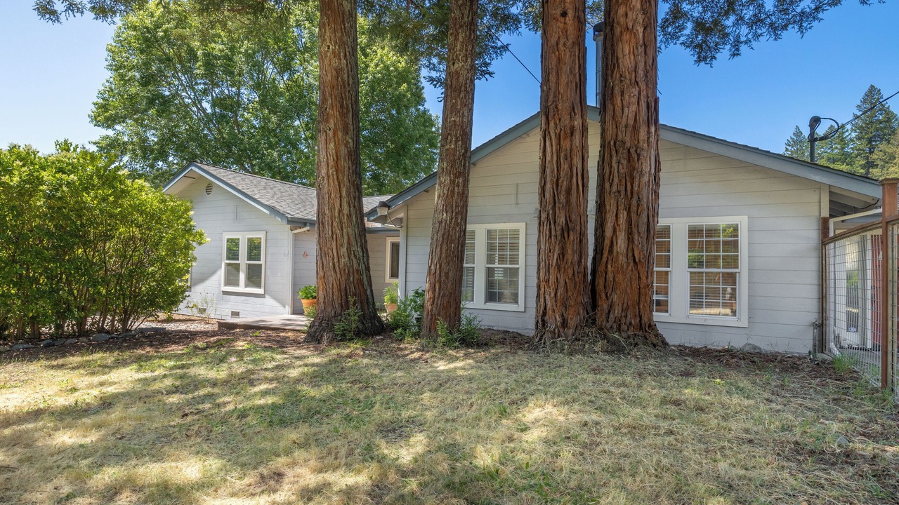 Photo of Outdoor in Ben Lomond