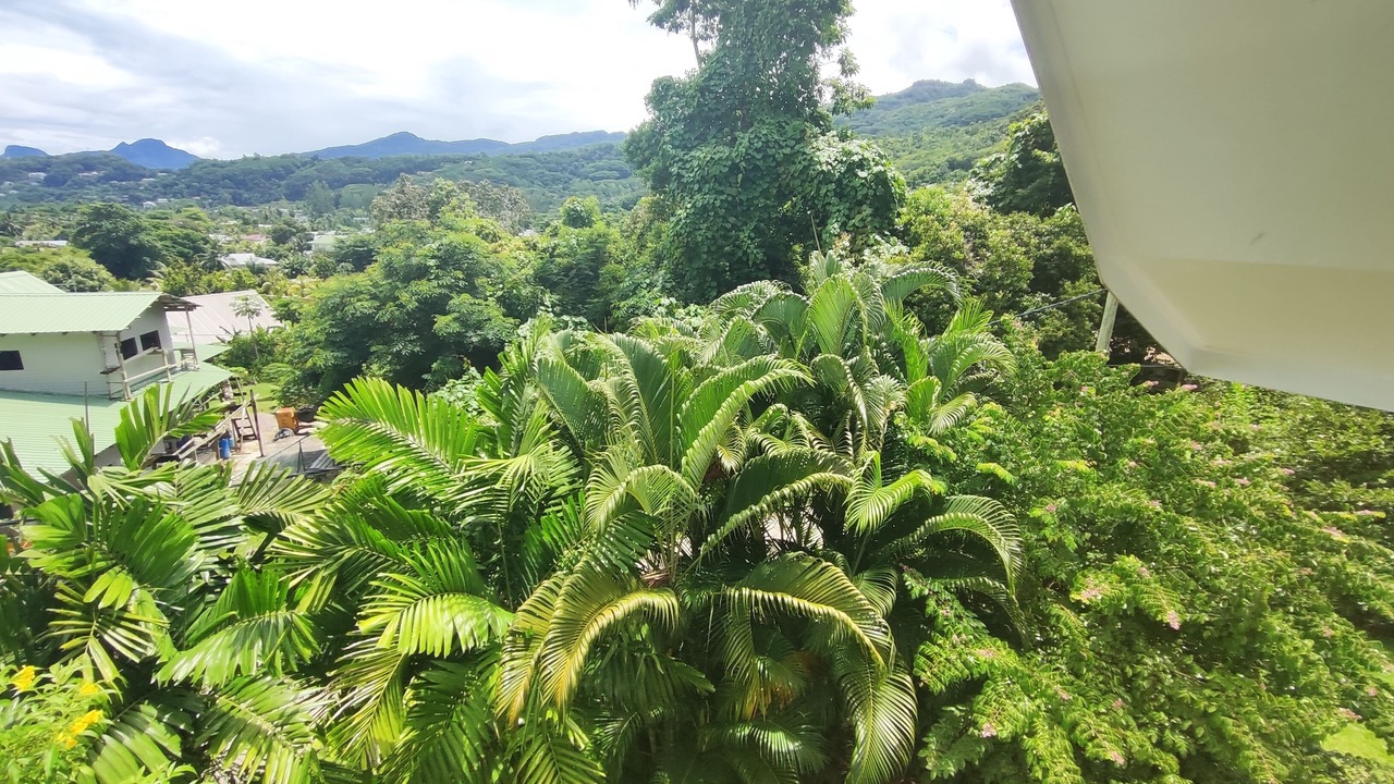 Photo of Outdoor in Anse La Mouche