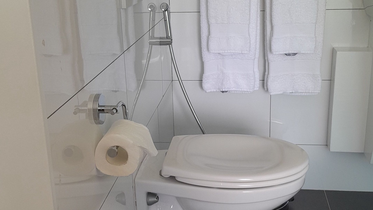 Photo of Bathroom in Anse Royale