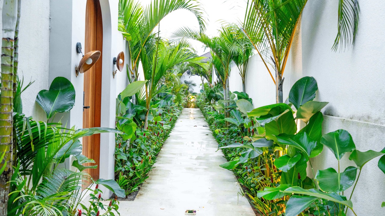 Photo of Outdoor in Mengwi