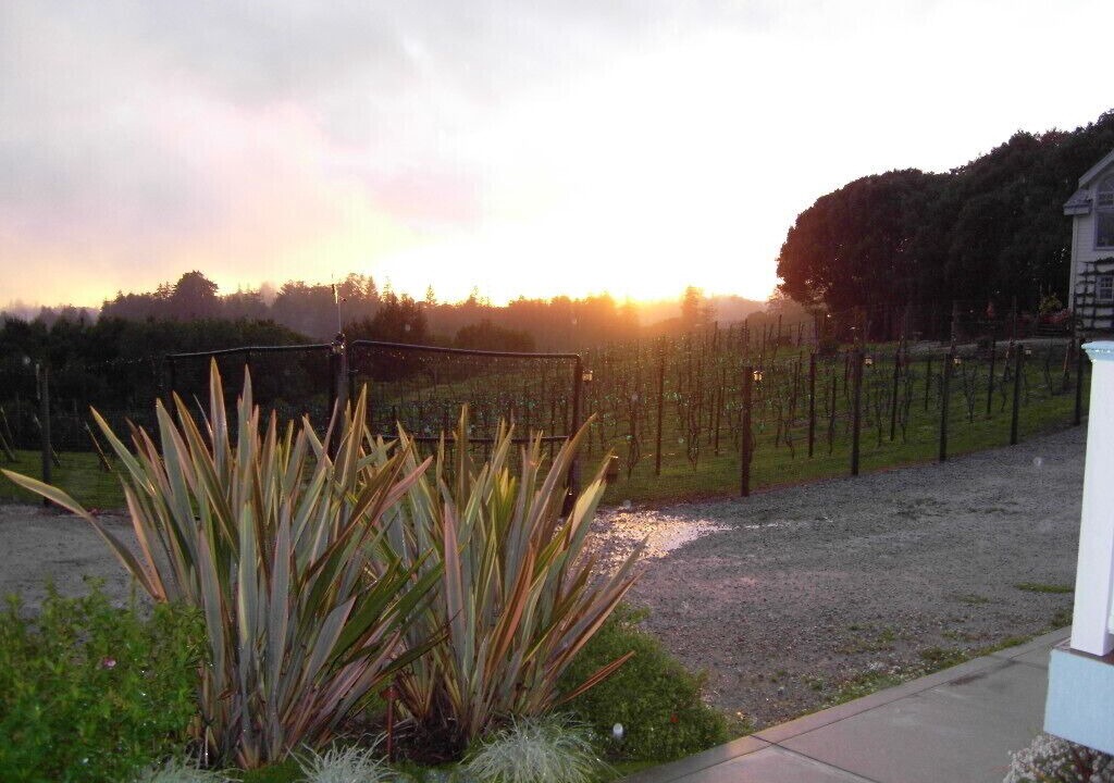 Photo of Others in Aptos