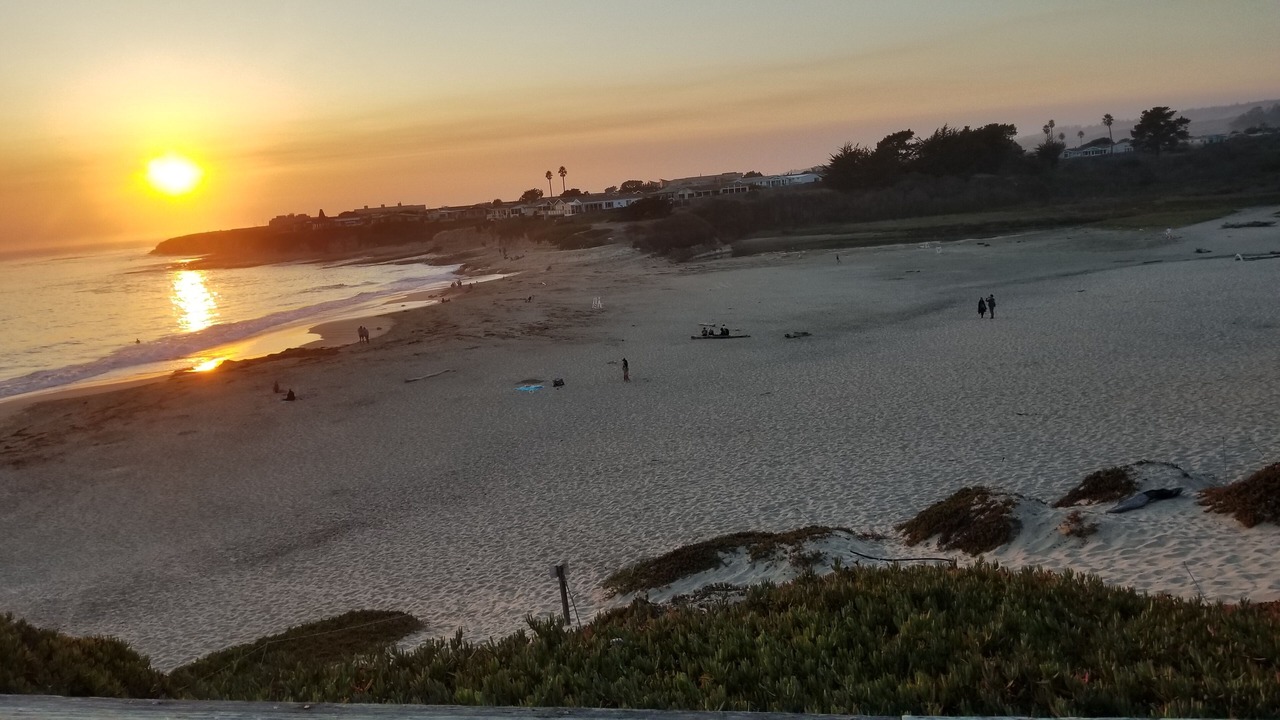 Photo of Others in Westside Santa Cruz