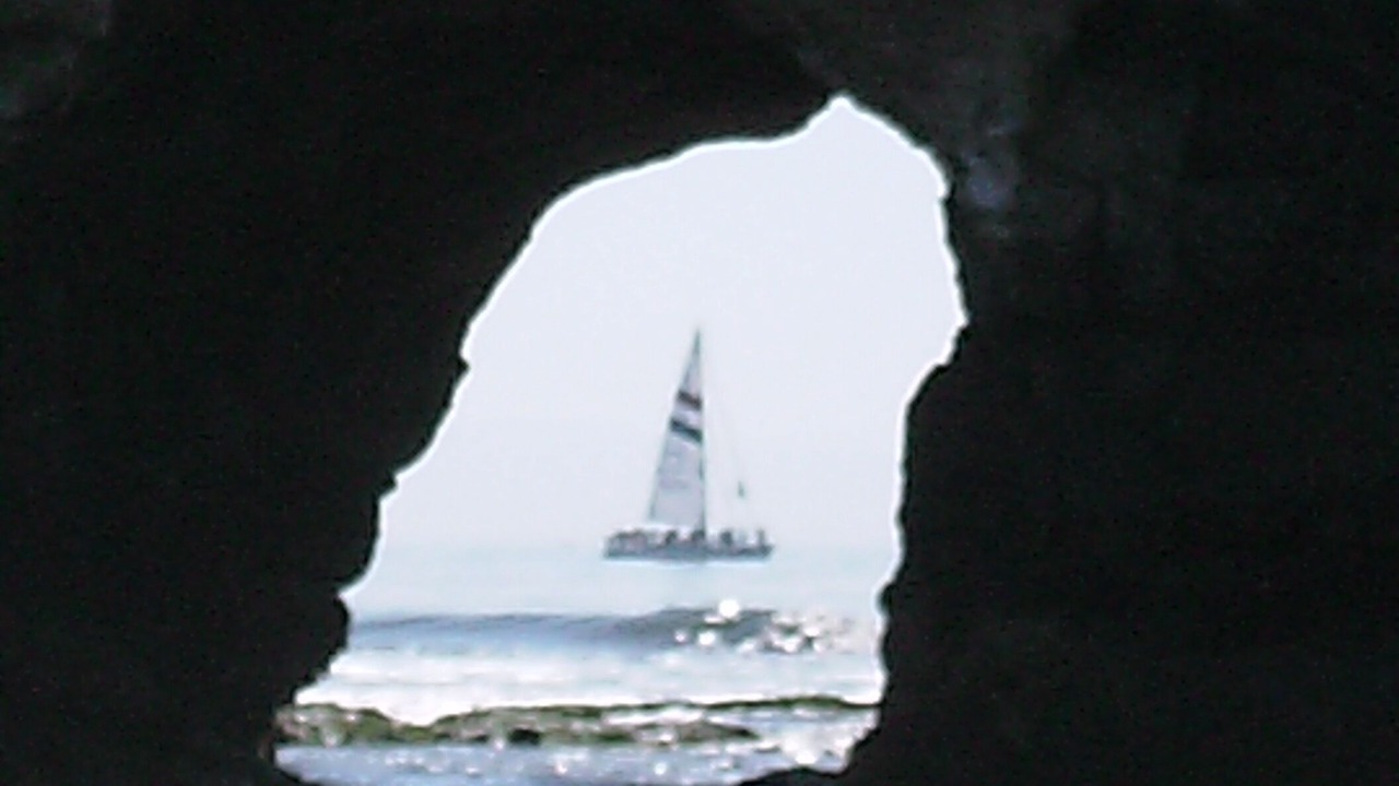 Photo of Others in Westside Santa Cruz