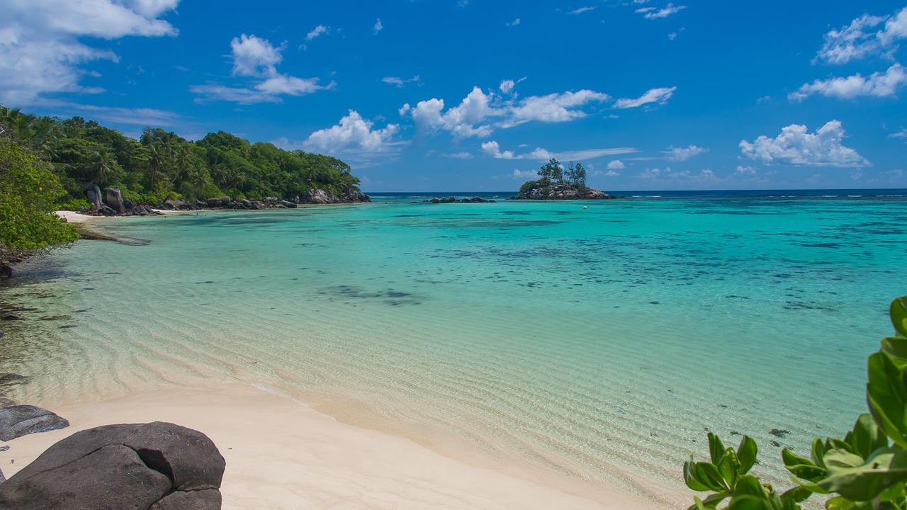 Photo of Others in Anse Royale
