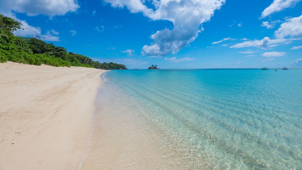 Photo of Others in Anse Royale