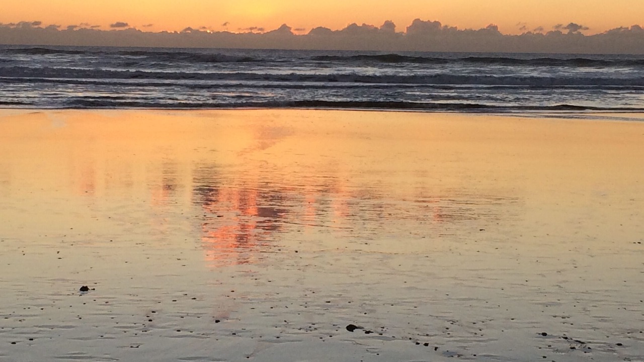 Photo of Others in Pajaro Dunes