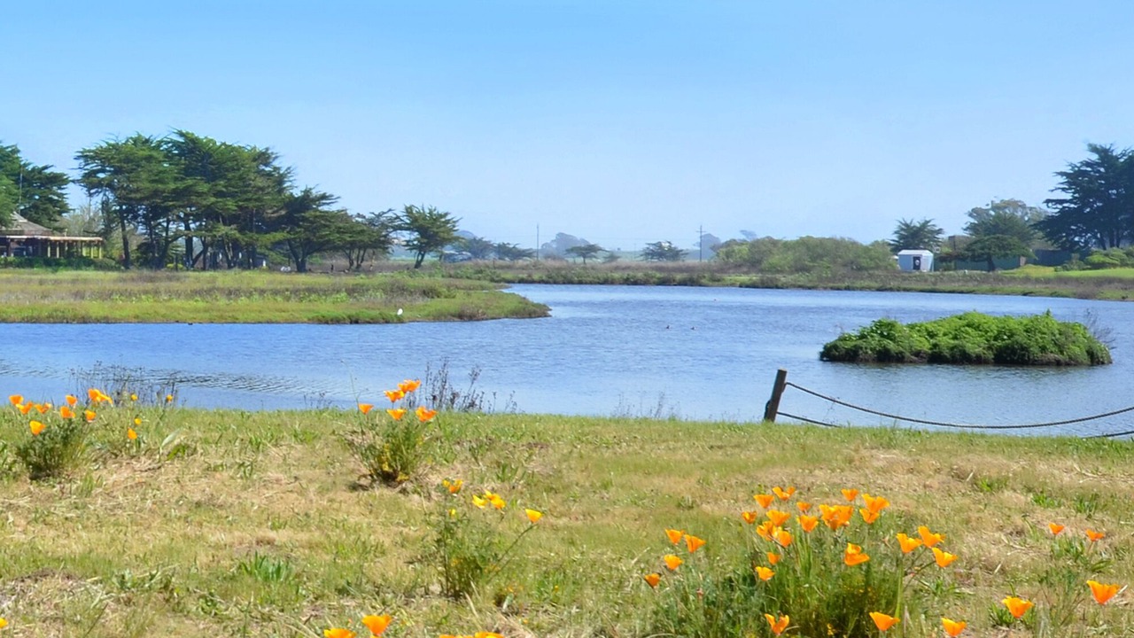 Photo of Others in Pajaro Dunes