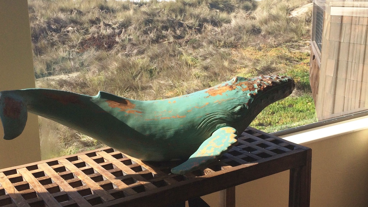 Photo of Others in Pajaro Dunes