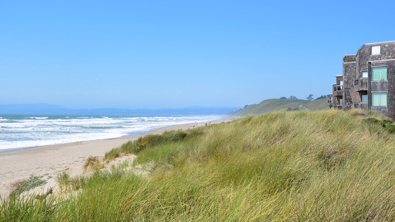 Photo of Others in Pajaro Dunes
