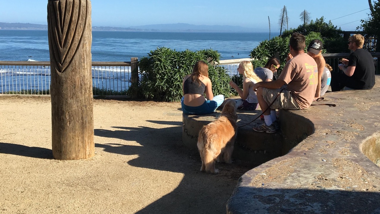 Photo of Others in Opal Cliffs