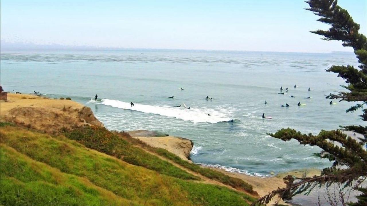 Photo of Others in Opal Cliffs